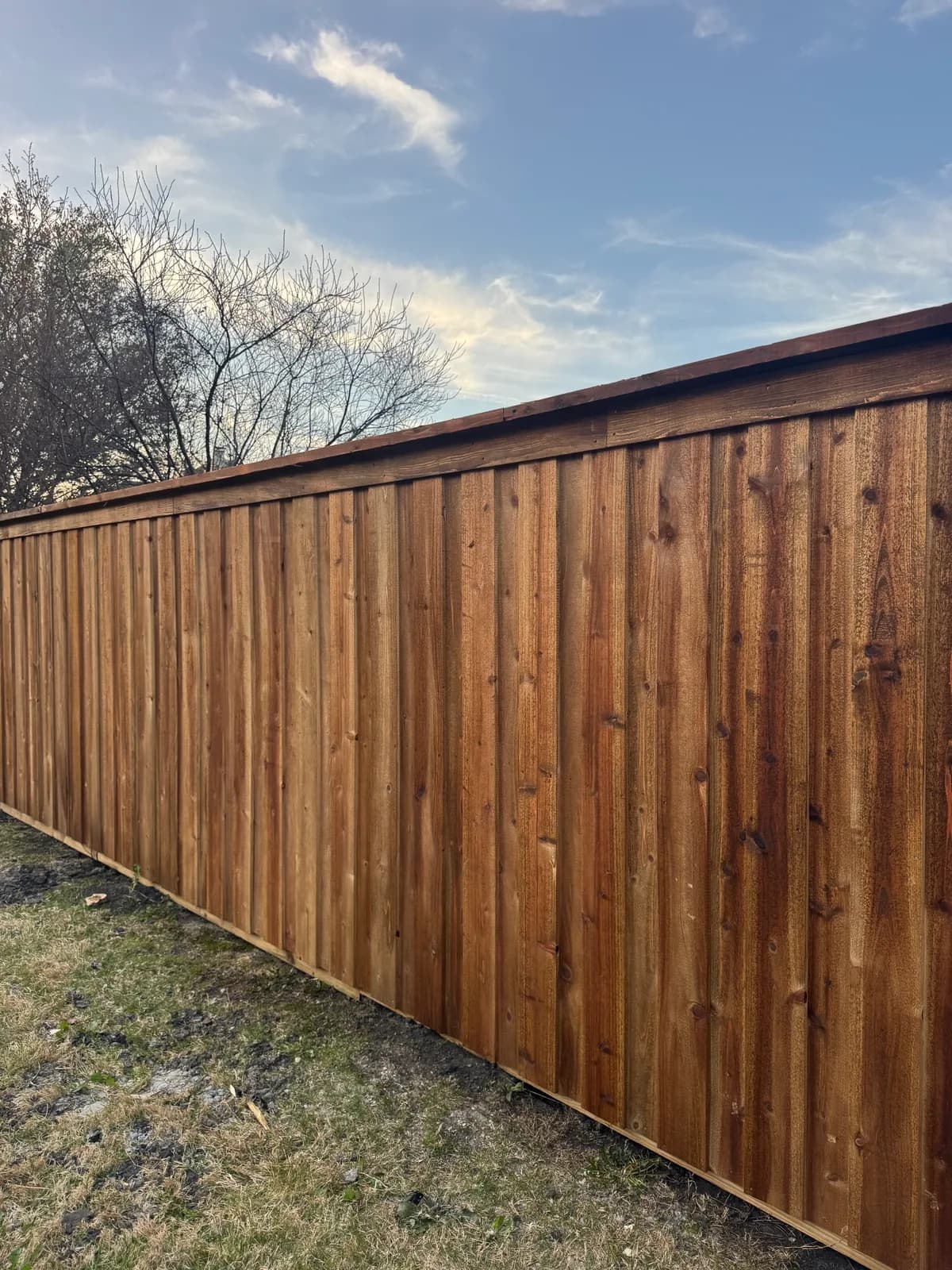 Stained board-on-board cedar fence running a back property line.